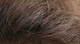 Dark Chestnut